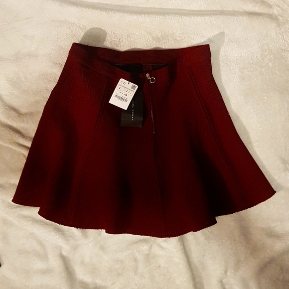 Zara Burgundy Skater Skirt - Picture 1 of 4